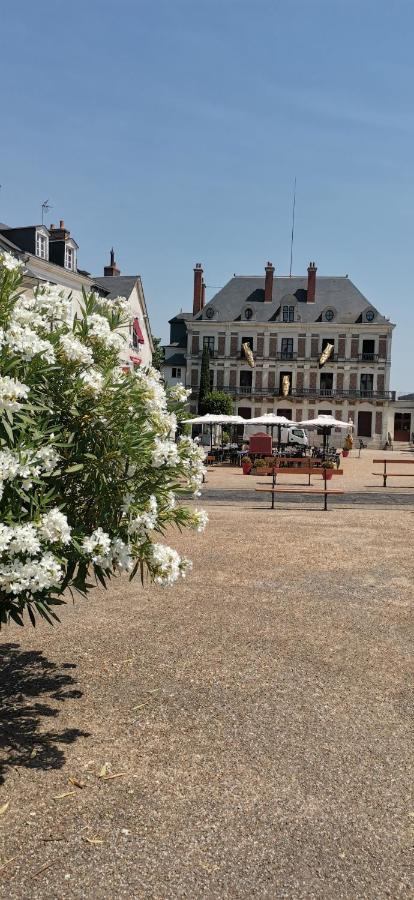 Ferienwohnung Le Logis De La Rue Des Arts Blois Exterior foto